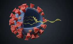 Viral Infections That Increase the Risk of Miscarriage