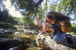 6 STEM Playtime Activities for Kids 