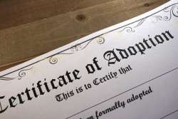 When Biological Parents Come into an Adopted Child's Life