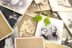 Family history journal 