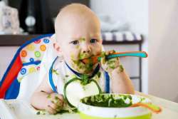 Best Baby Food Maker