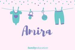Amira