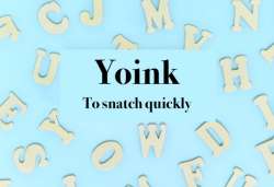Gen Z slang