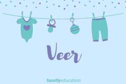 Veer
