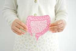 Child holding a digestive system shape