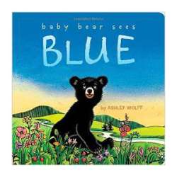 Baby Bear Sees Blue, children's book