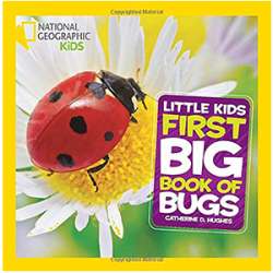 Little Kids Big Book of Bugs