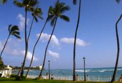 Exotic,Hawaii