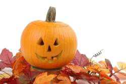 Carved Pumpkin on pile of leaves against white backdrop