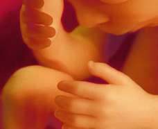ultrasound of human fetus 37 weeks and 3 days