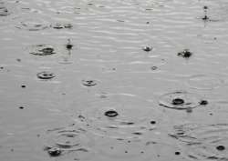 Acid Rain Science Activity for Kids
