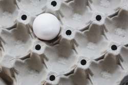 Egg Drop Science Activity for Kids