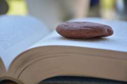 Photo Paperweight Activity for Kids