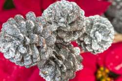 Pinecone Wreath Activity for Kids