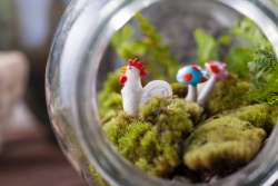 Terrarium Activity for Kids