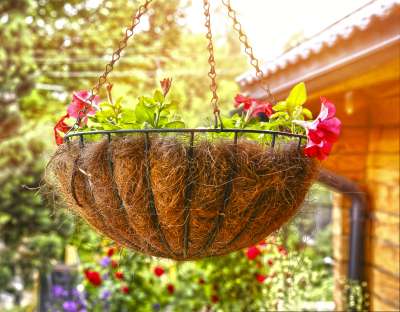Hanging plant basket