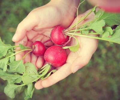 5 ways to sneak vegetables in your kid's food