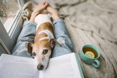 relaxing with dog