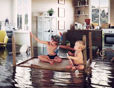 Sibling Rivalries