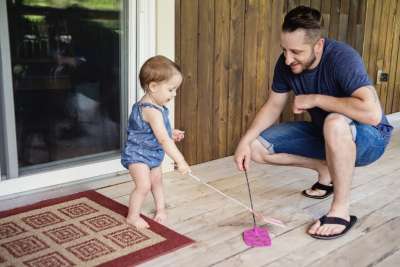 Handling Fly Infestations in the Home