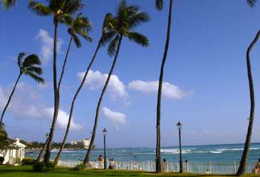 Exotic,Hawaii