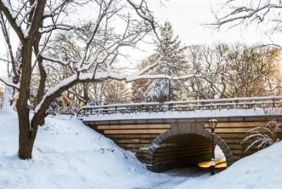 Teach Kids About Bridges and Tunnels