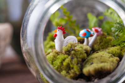Terrarium Activity for Kids