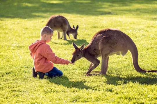 Australian child