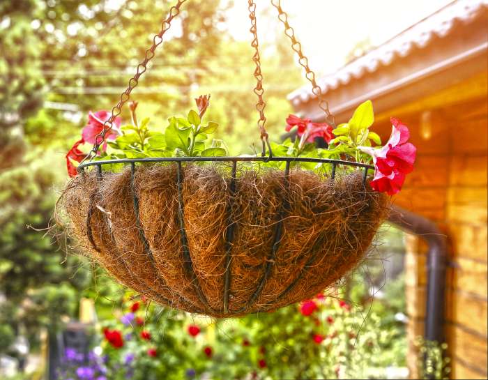 Hanging plant basket