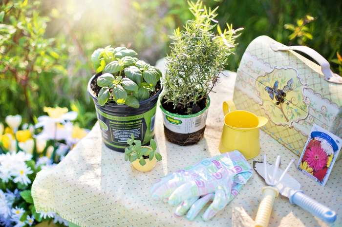 Herb garden