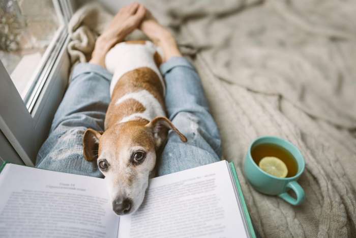 relaxing with dog
