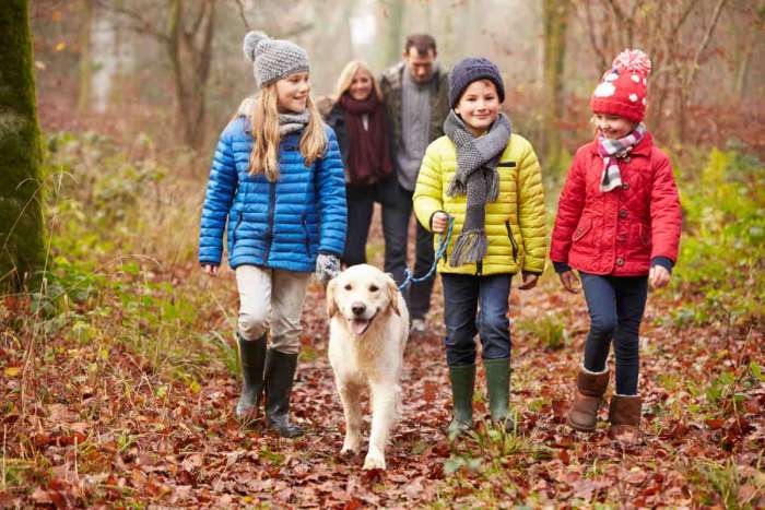 4 benefits families can get from owning a dog