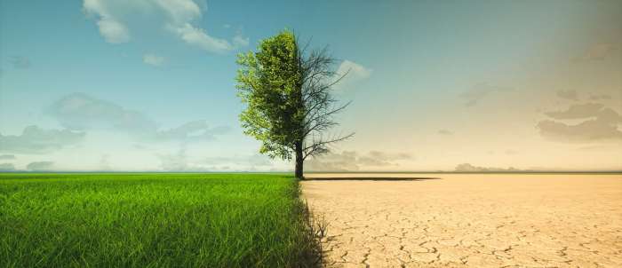 Climate Crisis is Affecting People’s Decisions to Conceive