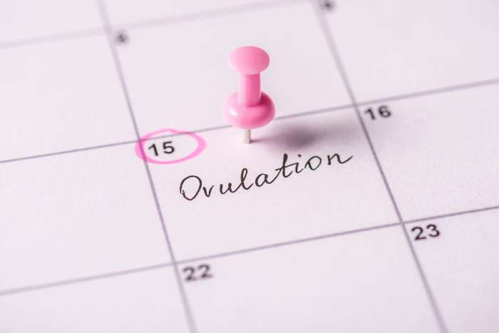 Can You Get Pregnant When You’re Not Ovulating?