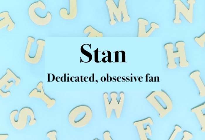 Gen Z Slang: Stan Meaning - FamilyEducation