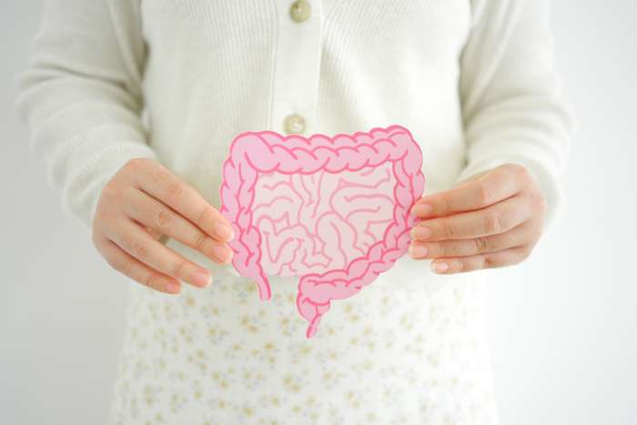 Child holding a digestive system shape