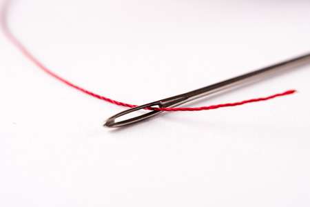 Floating Needle Science Activity for Kids