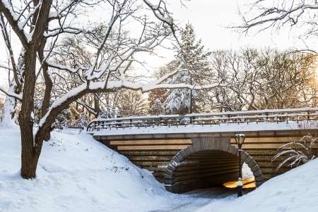 Teach Kids About Bridges and Tunnels