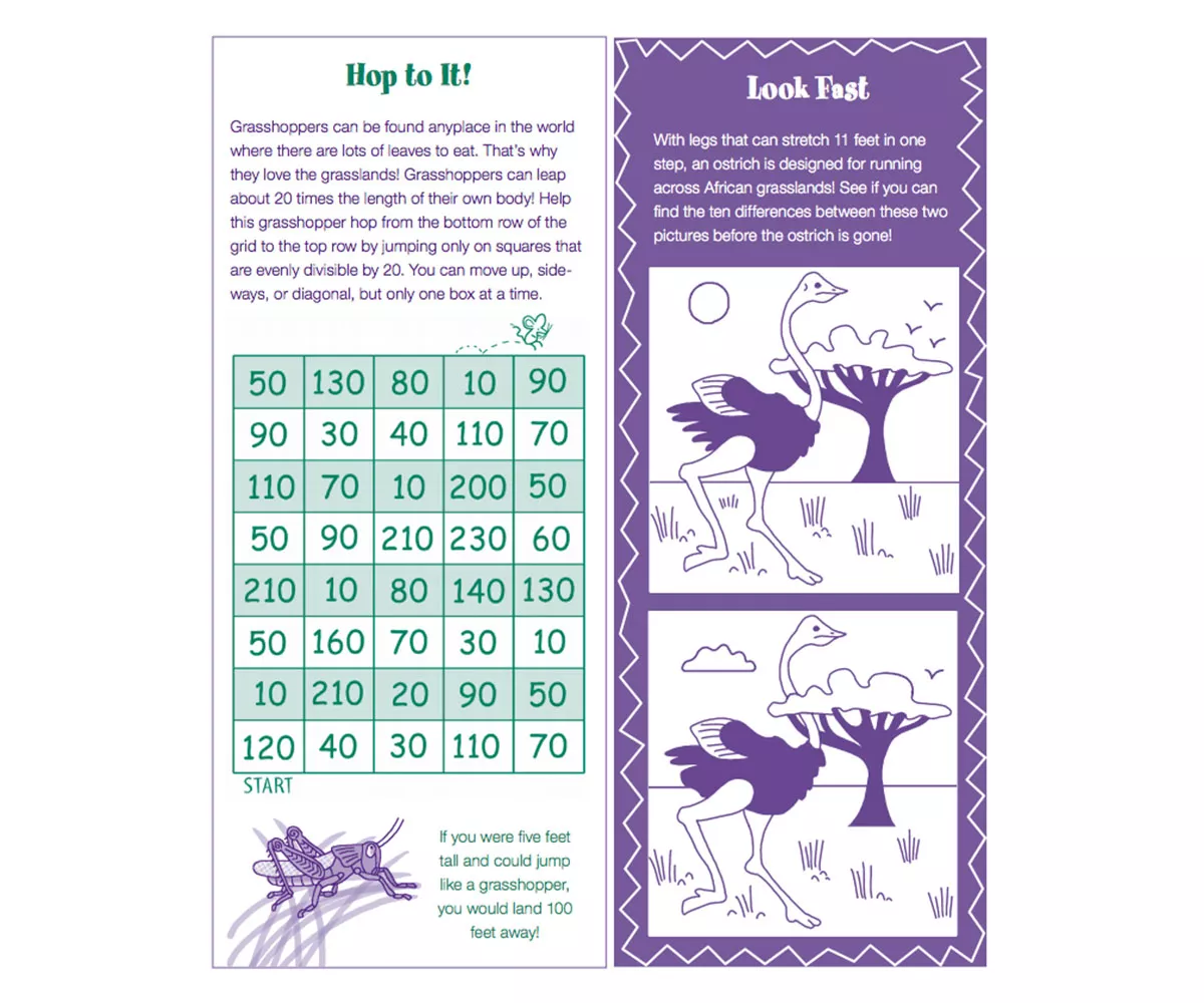 Third Grade Math Activities And Printables Familyeducation