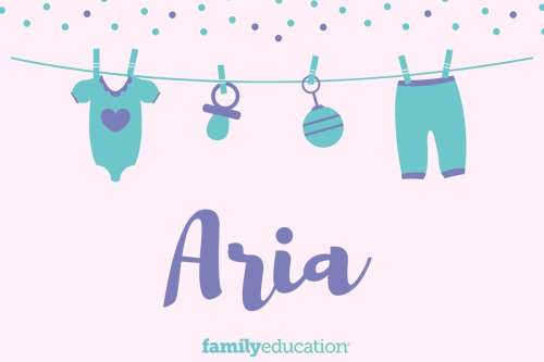 Meaning and Origin of Aria