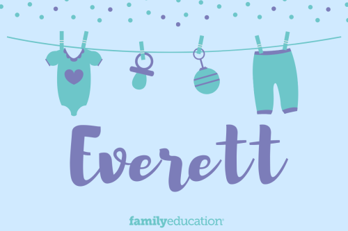 Meaning and Origin of Everett
