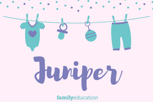 Meaning and Origin of Juniper
