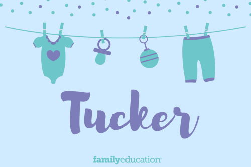 Meaning and Origin of Tucker