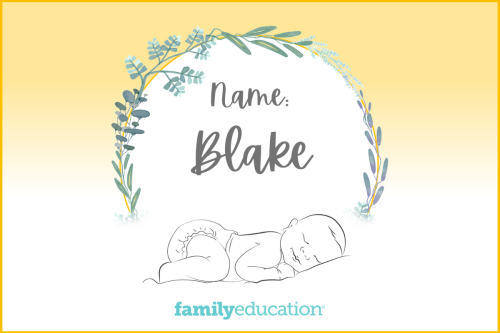 Meaning and Origin of Blake
