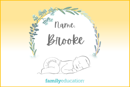 Meaning and Origin of Brooke