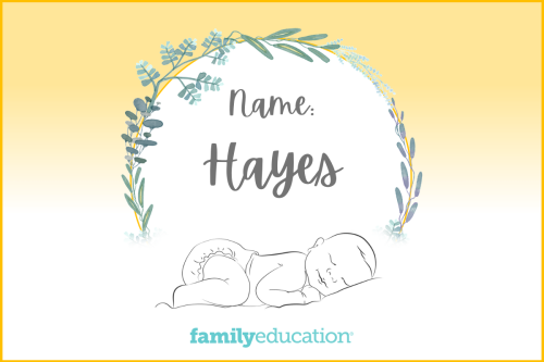 Meaning and Origin of Hayes