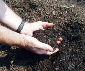 Landscaping with a Green Thumb: Composting