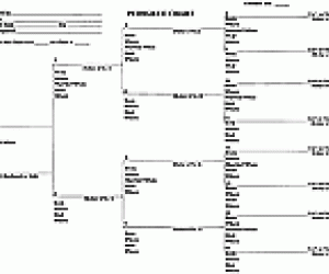 Generation Ancestor Chart