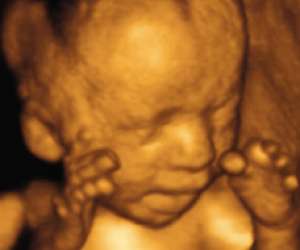 ultrasound of human fetus as 27 weeks and 1 day
